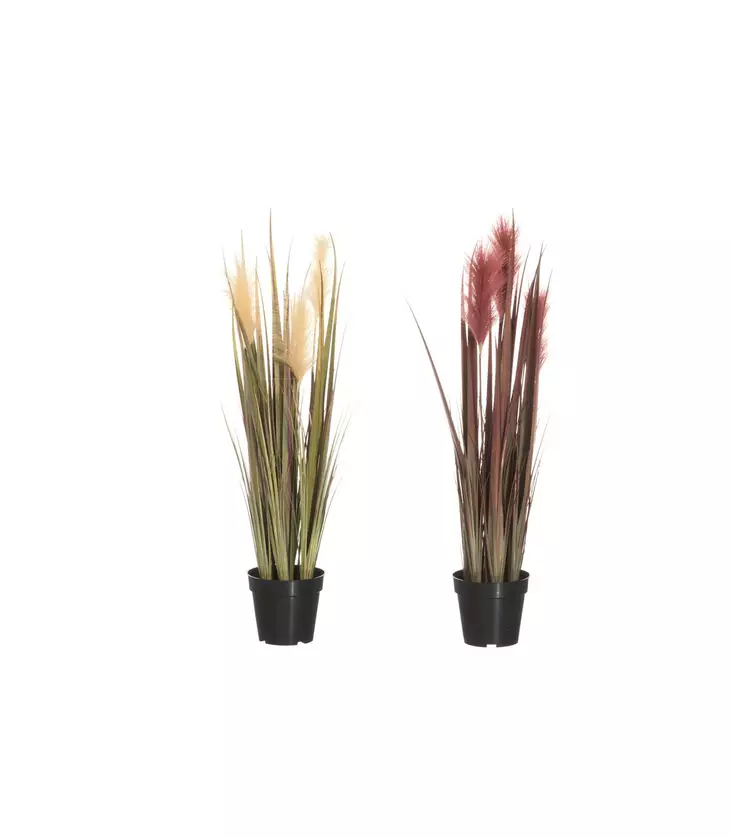 PAMPAHEINÄ 91 CM 4Living - Tekokasvit ja muovikukat - 6410416031002 - 1