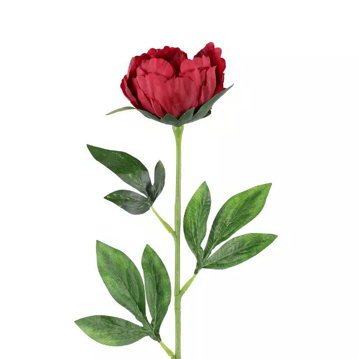 Pioni purppura - Tekokasvit ja muovikukat - 6410416527772 - 1