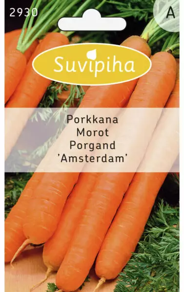 PORKKANA 1 AMSTERDAM AIKAINEN - Vihannes, juures & yrttien siemenet - 8711117293002 - 1