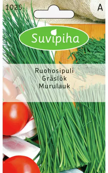 RUOHOSIPULI 1 TAVALLINEN - Vihannes, juures & yrttien siemenet - 8711117102502 - 1