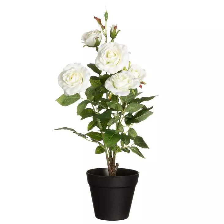 Ruusu isokukkainen ruukussa valkoinen 49 - Tekokasvit ja muovikukat - 6410416435862 - 1