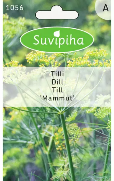 TILLI 1 MAMMUT - Vihannes, juures & yrttien siemenet - 8711117105602 - 1