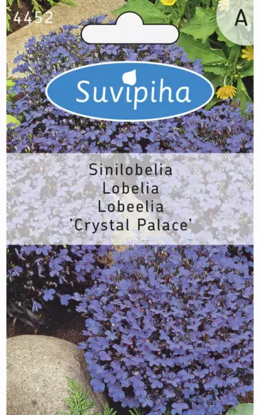 SINILOBELIA 3 - Kukkasiemenet - 8711117445203 - 1