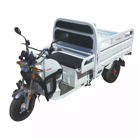 Sähköskootteri Carry 2000W kuljetuslavalla - Lavaskootterit ja erikoismallit - 6438168107943 - 1