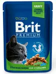 KISSANRUOKA BRIT PREMIUM CAT KANA 100G - Kissanruoat ja herkut - 8595602506033 - 1
