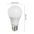 Led lamppu E27 A60 9W 810lm 4000K 2kpl - Lamput E27 kanta - 6418536031193 - 3
