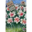 Narcissus double replete 4kpl - Kukkasipulit ja istukkaat - 8710186619713 - 1