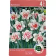 Narcissus double replete 4kpl - Kukkasipulit ja istukkaat - 8710186619713 - 3