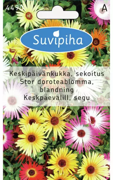 KESKIPÄIVÄNKUKKA 2 - Kukkasiemenet - 8711117449003 - 1