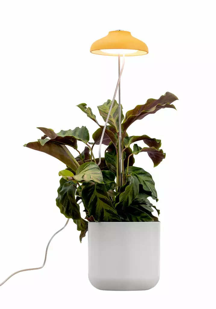 KASVIVALAISIN LED 5W AIRAM IRIS - Kasvivalaisimet - 6435200292643 - 1