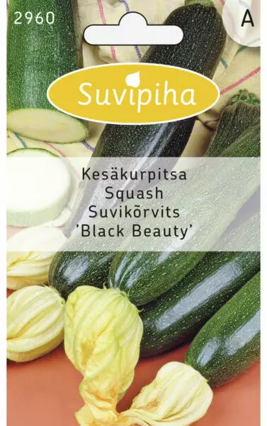 KESÄKURPITSA 1 VIHREÄ - Vihannes, juures & yrttien siemenet - 8711117296003 - 1