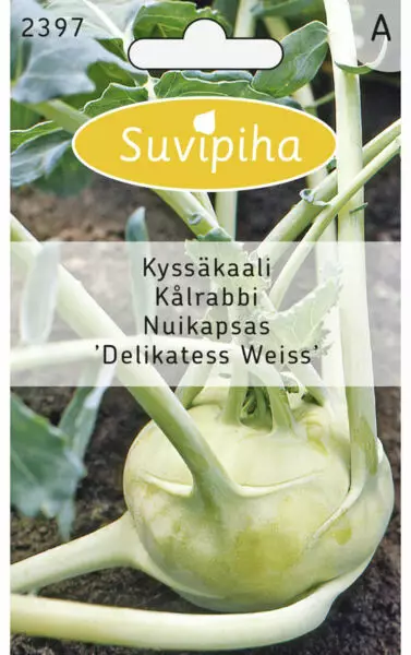 KYSSÄKAALI 2 DELIKATESS VIHREÄ - Vihannes, juures & yrttien siemenet - 8711117239703 - 1