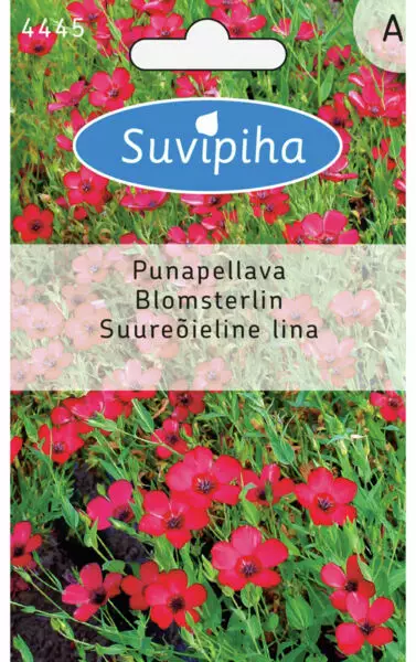 PUNAPELLAVA 1 - Kukkasiemenet - 8711117444503 - 1