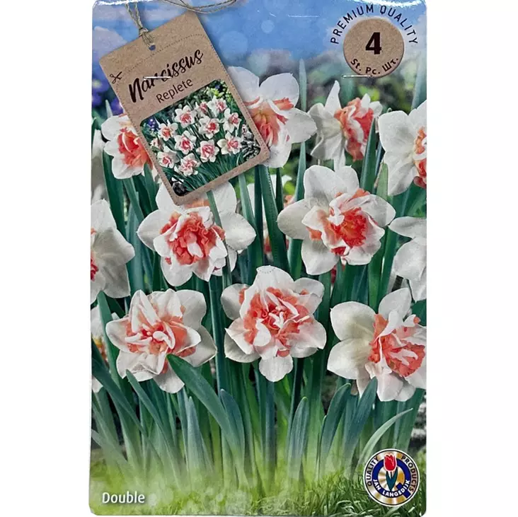 Narcissus double replete 4kpl - Kukkasipulit ja istukkaat - 8710186619713 - 1