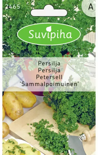 PERSILJAN 1 SAMMALPOIMUINEN - Vihannes, juures & yrttien siemenet - 8711117246503 - 1
