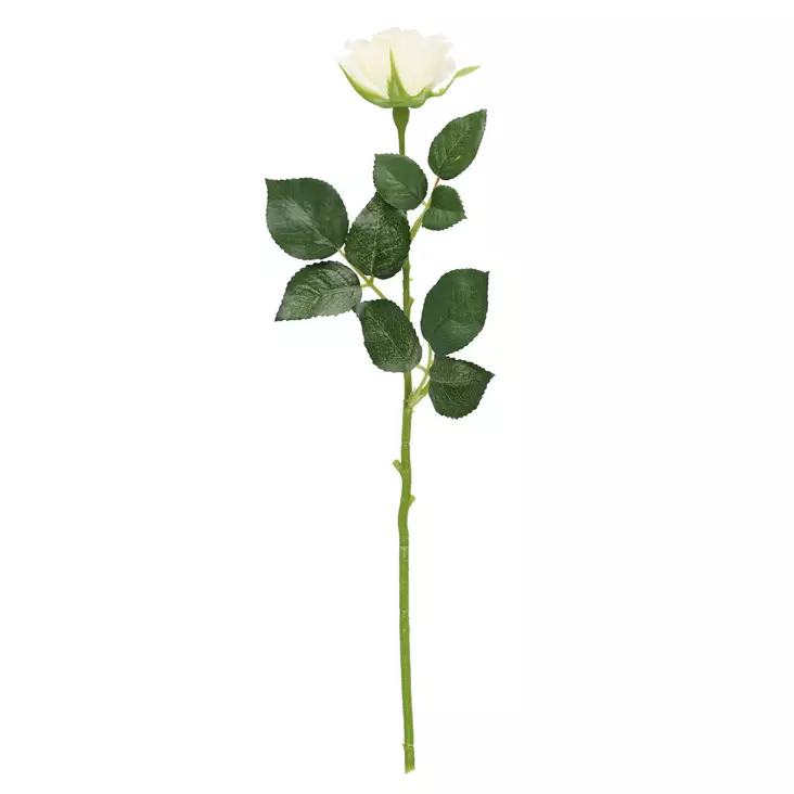 Ruusu valkoinen - Tekokasvit ja muovikukat - 6410416439563 - 1