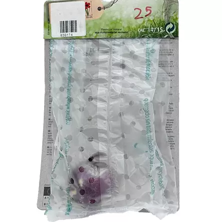 Hyacinthus blue 1kpl - Kukkasipulit ja istukkaat - 839174 - 2