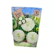 Daalia mukula 1 kpl Dahlia Snowflake - Kukkasipulit ja istukkaat - 839754 - 1