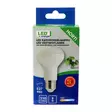 Kasvivalolamppu R63 E27 1300K 9W - Lamput E27 kanta - 6418536037744 - 3