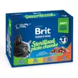 KISSANRUOKA BRIT CAT STERILISOIDUILLE 12X100G - Kissanruoat ja herkut - 8595602548514 - 1