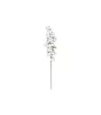 KORISTEOKSA PUUVILLA 70 CM 4Living - Tekokasvit ja muovikukat - 6410413191044 - 1