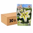 Lilja kukkasipuli 1 kpl x 30pss Lilium White Yellow - Kukkasipulit ja istukkaat - 840064 - 1