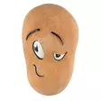 Puutarhakoriste vihannes peruna - Puutarhakoristeet - 6410416317274 - 1