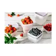 PAKASTUSRASIA 6 x 0,3 L SmartStore - Pakastuspussit ja -rasiat - 6411768016754 - 2