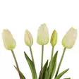 Tulppaani kimppu valkoinen - Tekokasvit ja muovikukat - 6410416332024 - 2