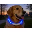 Valopanta koiralle LED ladattava - Koiran ulkoilutus - 1250000000084 - 3