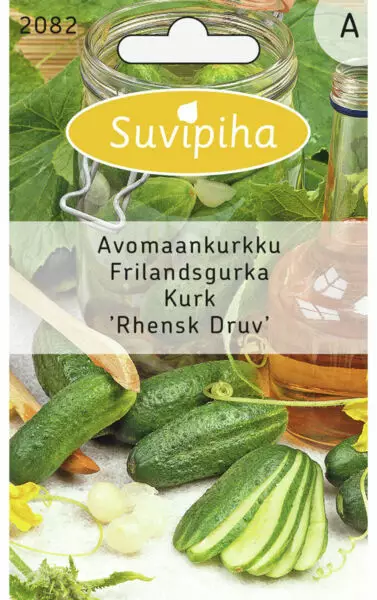 AVOMAAKURKUN 1 SIEMEN - Vihannes, juures & yrttien siemenet - 8711117208204 - 1