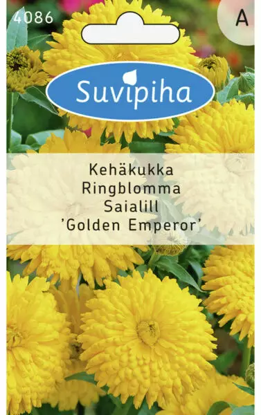 KEHÄKUKKA 1 KELTAINEN - Kukkasiemenet - 8711117408604 - 1