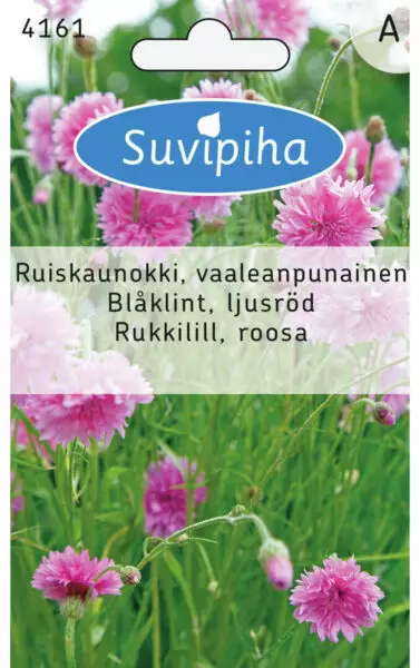 RUISKAUNOKKI 1 PUNAINEN - Kukkasiemenet - 8711117416104 - 1