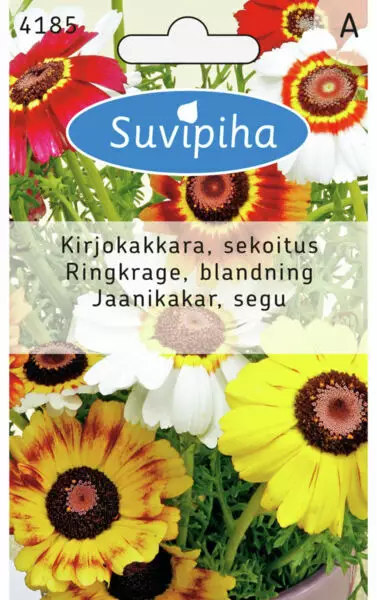 PÄIVÄNKAKKARA 2 LOISTOSEKOITUS - Kukkasiemenet - 8711117418504 - 1