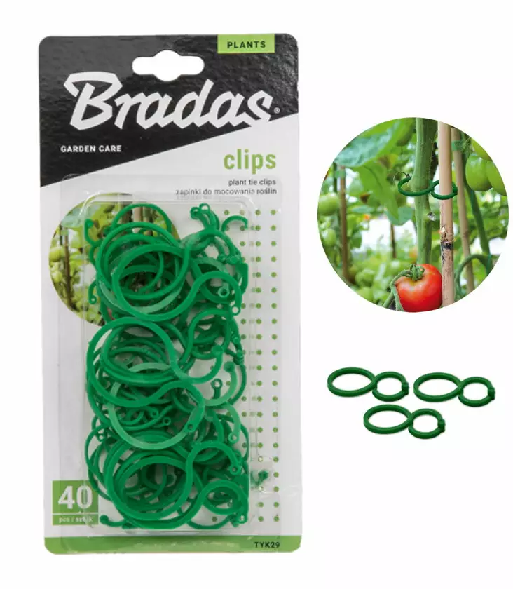 KÖYNNÖSKIINNIKE 40KPL - Kasvituet ja köynnöskehikot - 5907544400004 - 1