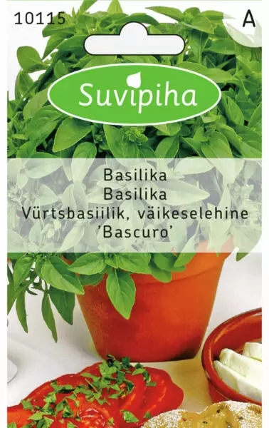 KREIKKALAINEN 1 RUUKKUBASILIKA - Vihannes, juures & yrttien siemenet - 8711117101154 - 1