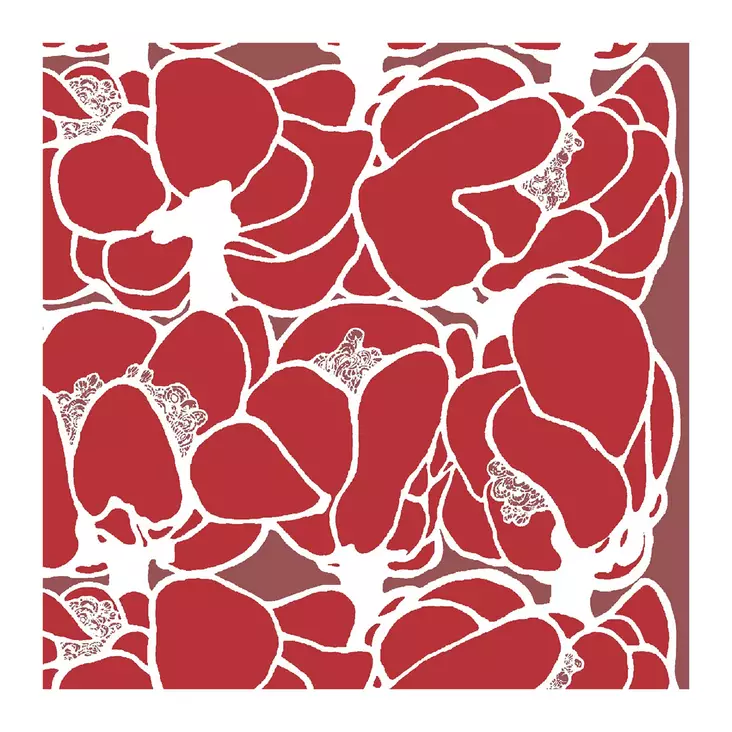 VALLILA LAUTASLIINA MAKEBA PUNAINEN 33 c - Lounas-servetit 33x33 - 7321012030674 - 1