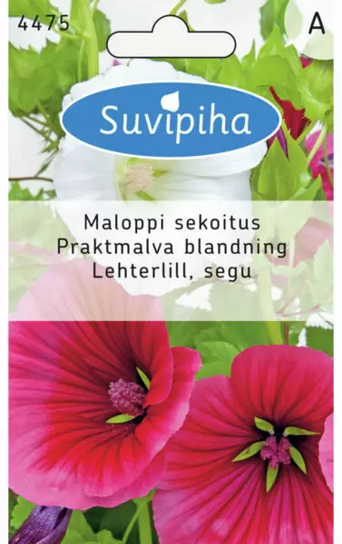 MALOPIN SIEMEN 1 - Kukkasiemenet - 8711117447504 - 1