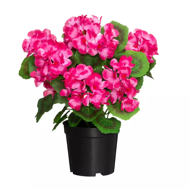 Pelargonia ruukussa tumma pinkki - Tekokasvit ja muovikukat - 6410416529844 - 1