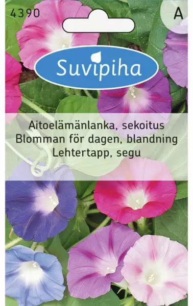 AITOELÄMÄNLANKA 2 - Kukkasiemenet - 8711117439004 - 1