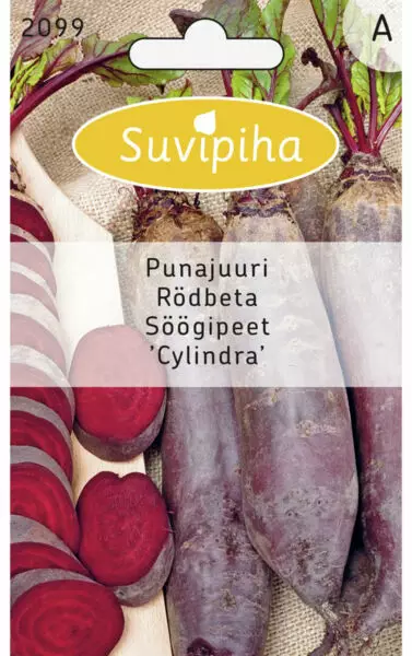 PUNAJUURIKAS 1 CYLINDRA - Vihannes, juures & yrttien siemenet - 8711117209904 - 1