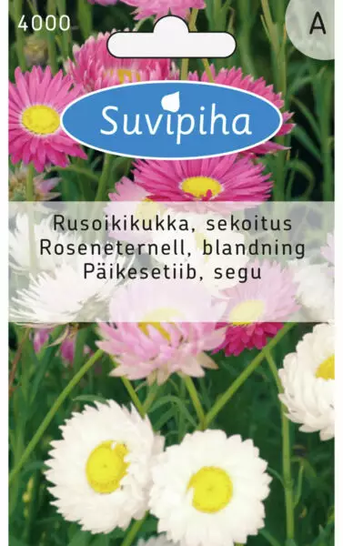 IKIKUKAN 2 SIEMEN KAPEALEHTI - Kukkasiemenet - 8711117400004 - 1