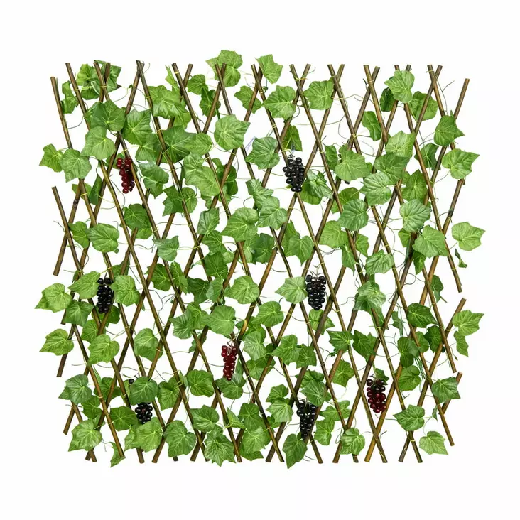 Viherseinä viinirypäleköynnös - Pajuaidat - 6438159384704 - 1