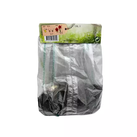 Kanna juurakko 1 kpl Canna Red - Kukkasipulit ja istukkaat - 8710186701845 - 2