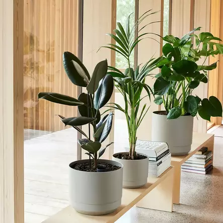 Orthex Pauliina 20cm harmaa - Sisäruukut ja suojaruukut - 6411764827675 - 2