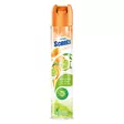 RAIKASTIN 400ml Mandarin and Lime - Huonetuoksut ja ilmanraikastimet - 8720847374745 - 1
