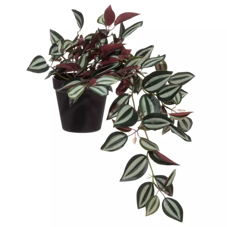 Juoru Zebrina muoviruukussa - Tekokasvit ja muovikukat - 6410416231815 - 1