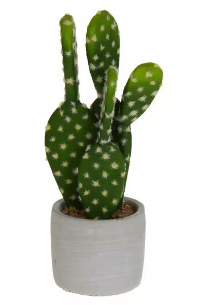 KAKTUS ASETELMA 25cm Amanda B collection - Tekokasvit ja muovikukat - 6420254250855 - 1