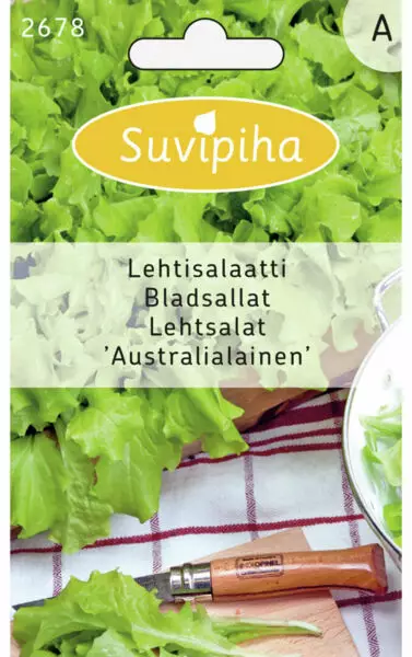 LEHTISALAATTI 1 AUSTRAL - Vihannes, juures & yrttien siemenet - 8711117267805 - 1