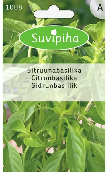 SITRUUNABASILIKA 2 - Vihannes, juures & yrttien siemenet - 8711117100805 - 1